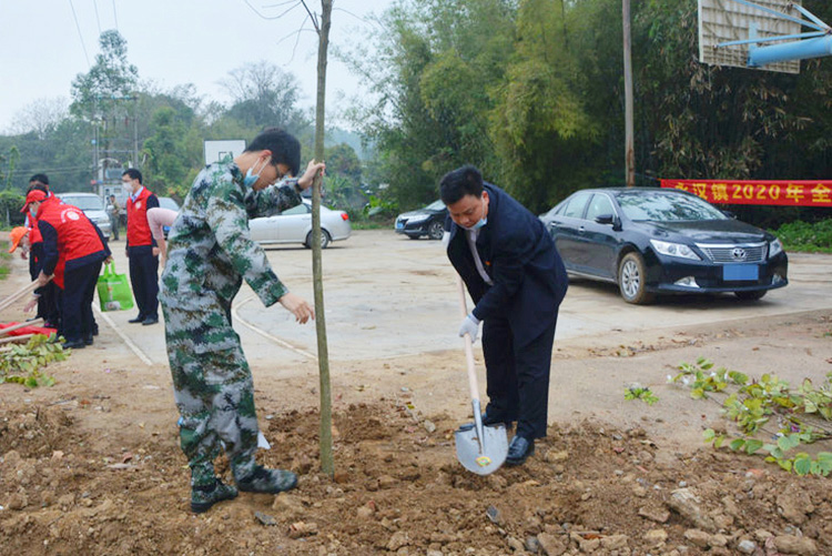 疫情防控和植树绿化两不误，我司捐赠10万元用于购买树苗(图2)